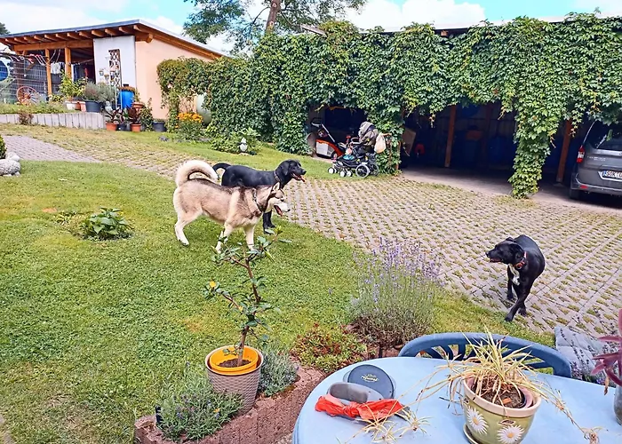 Ferienhof Im Gruenen Herzen