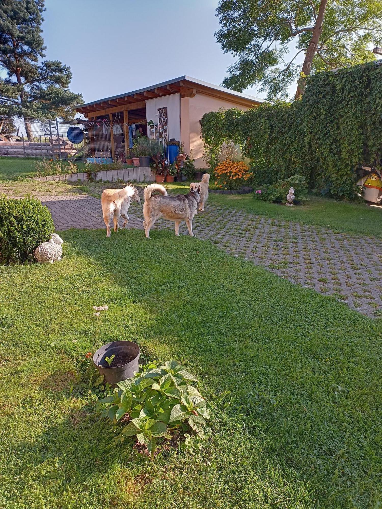 Im Grünen Herzen