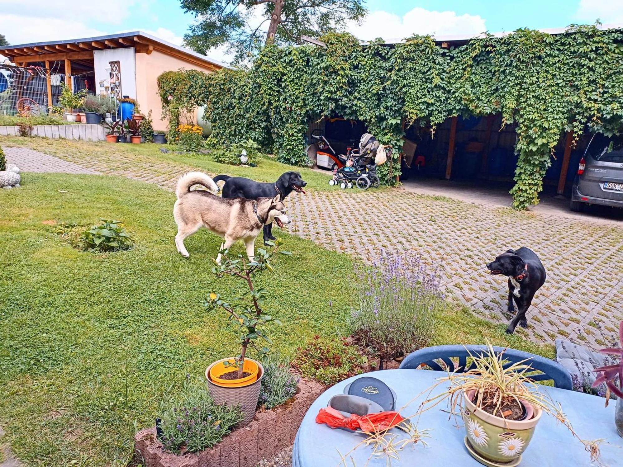 Apartamento Im Grünen Herzen